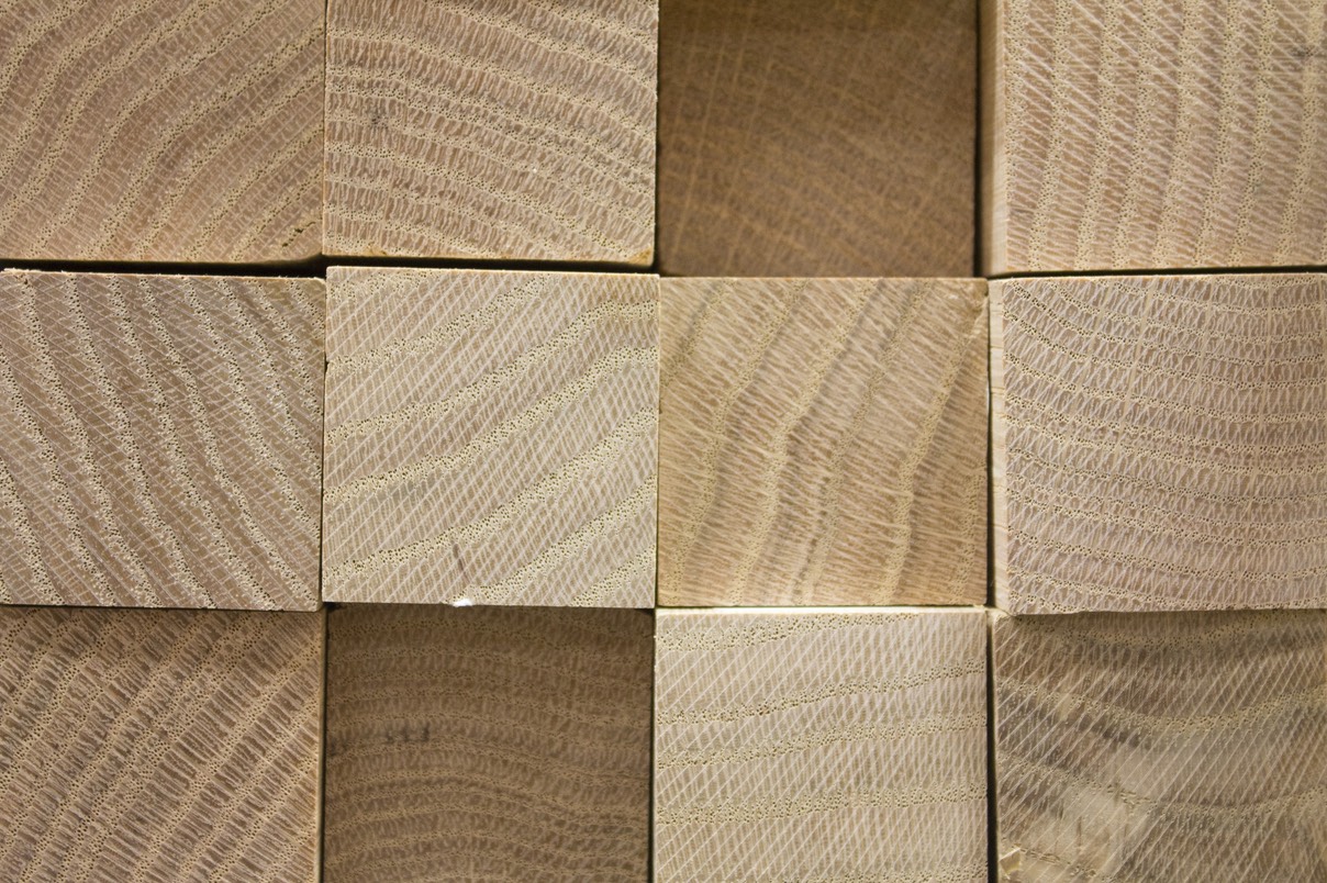 dave- wood-877367